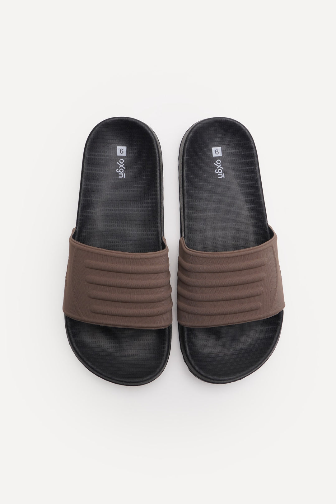 985739-Mocha (1).jpg