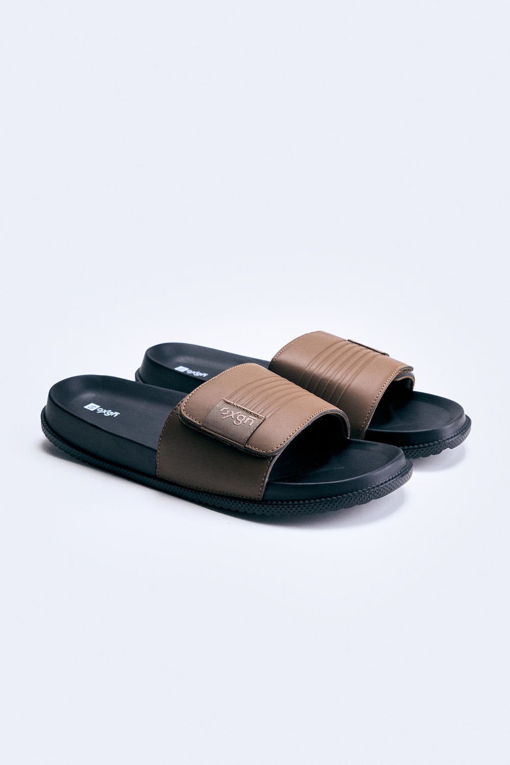 989277-Mocha (3).jpg