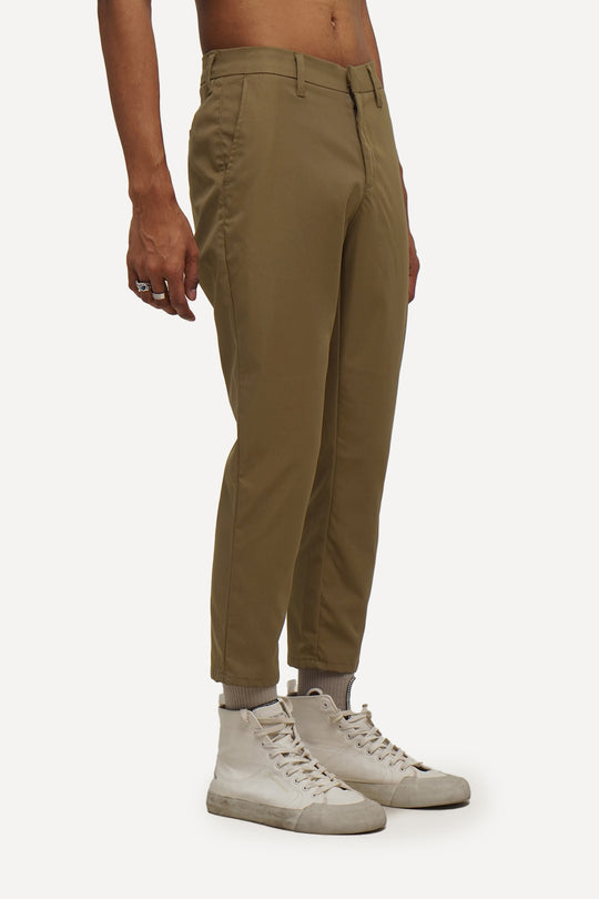 974427-Olive (2).jpg