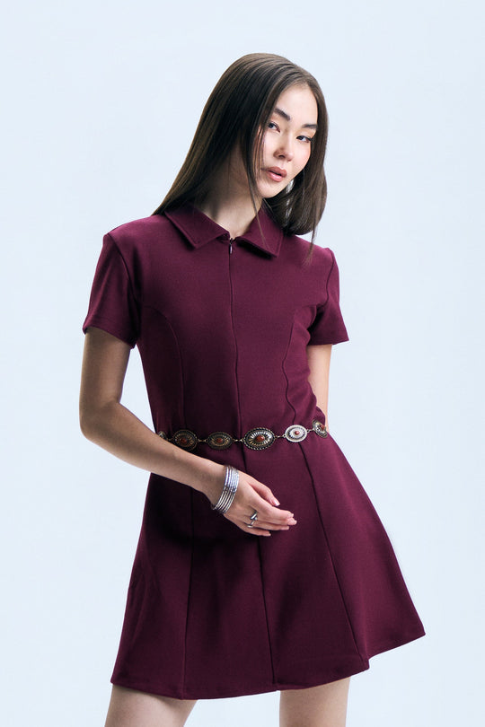 Polo Dress