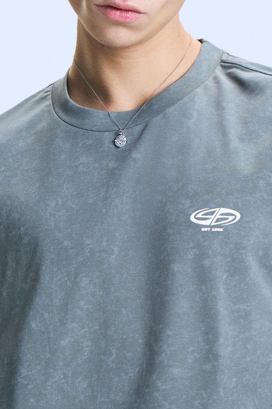 993967-Basil (3).jpg