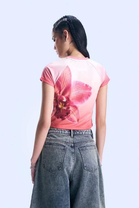 994343-Scarlet (4).jpg