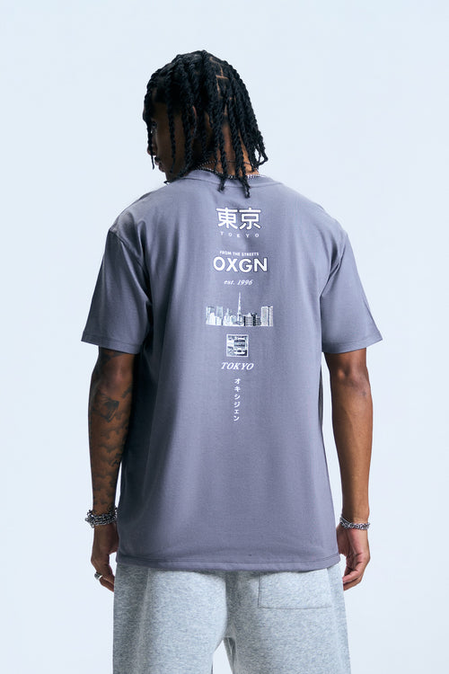 995850-Gray (5).jpg