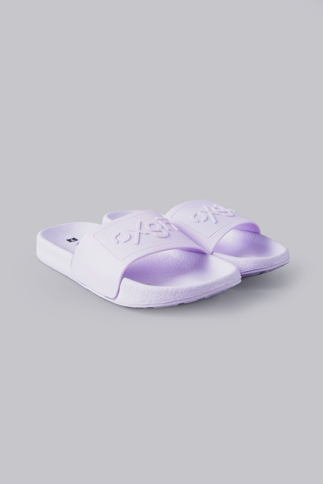 959599-Lavender (1).jpg