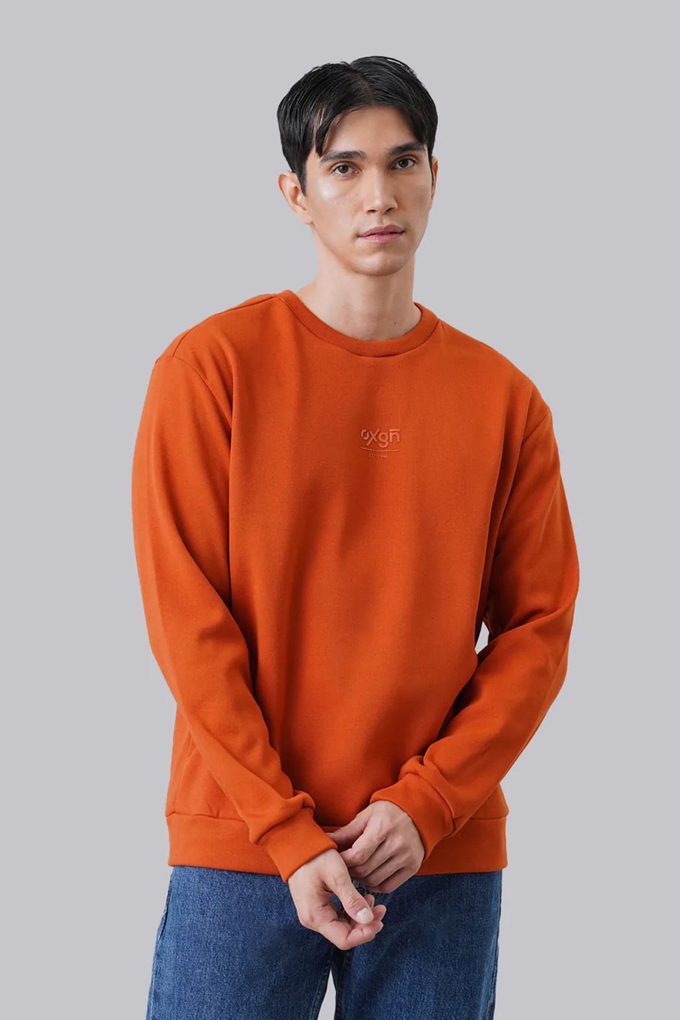 Logo Pullover