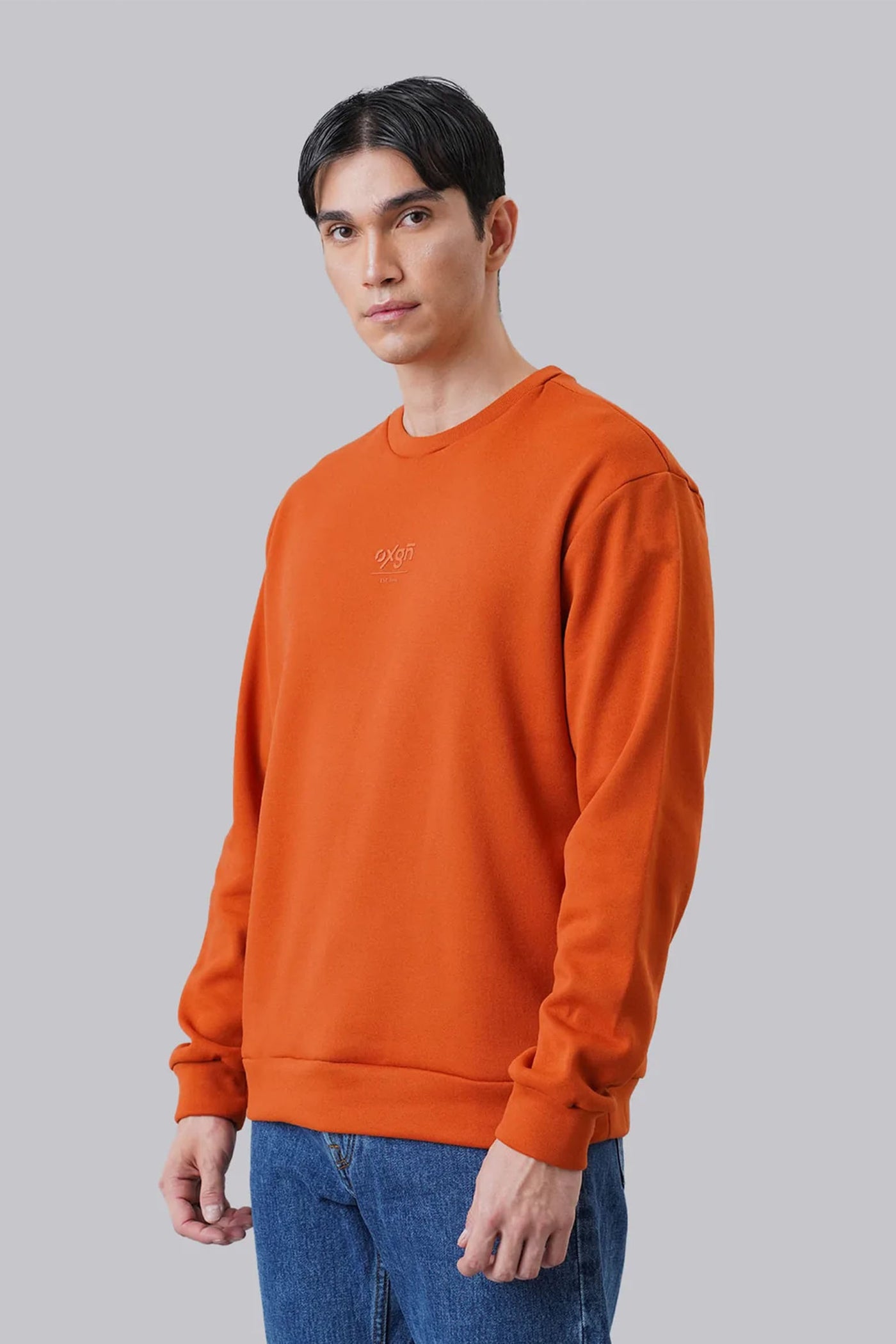 Logo Pullover