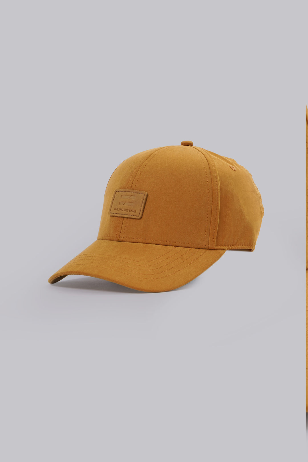 969512-Mustard (2).jpg