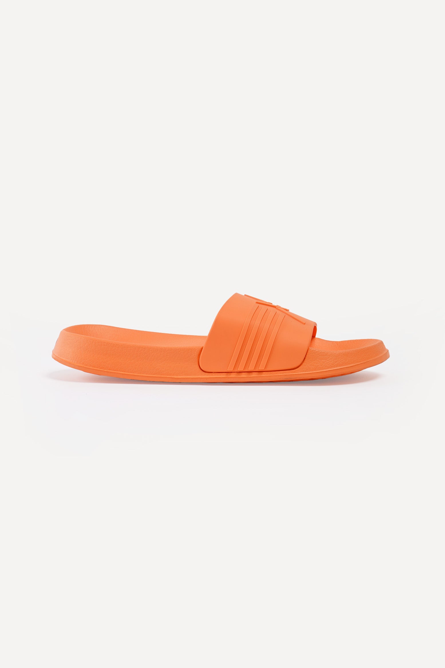 971183-Orange (4).jpg