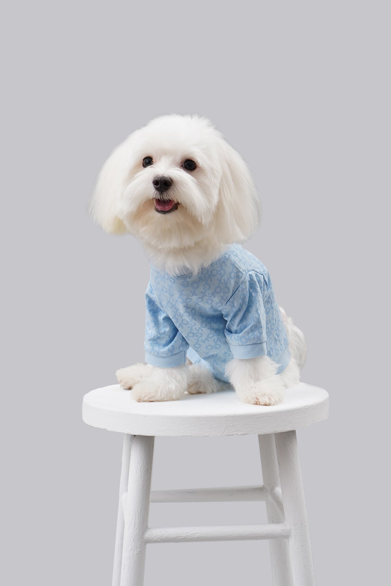 971393-Light Blue (1).jpg