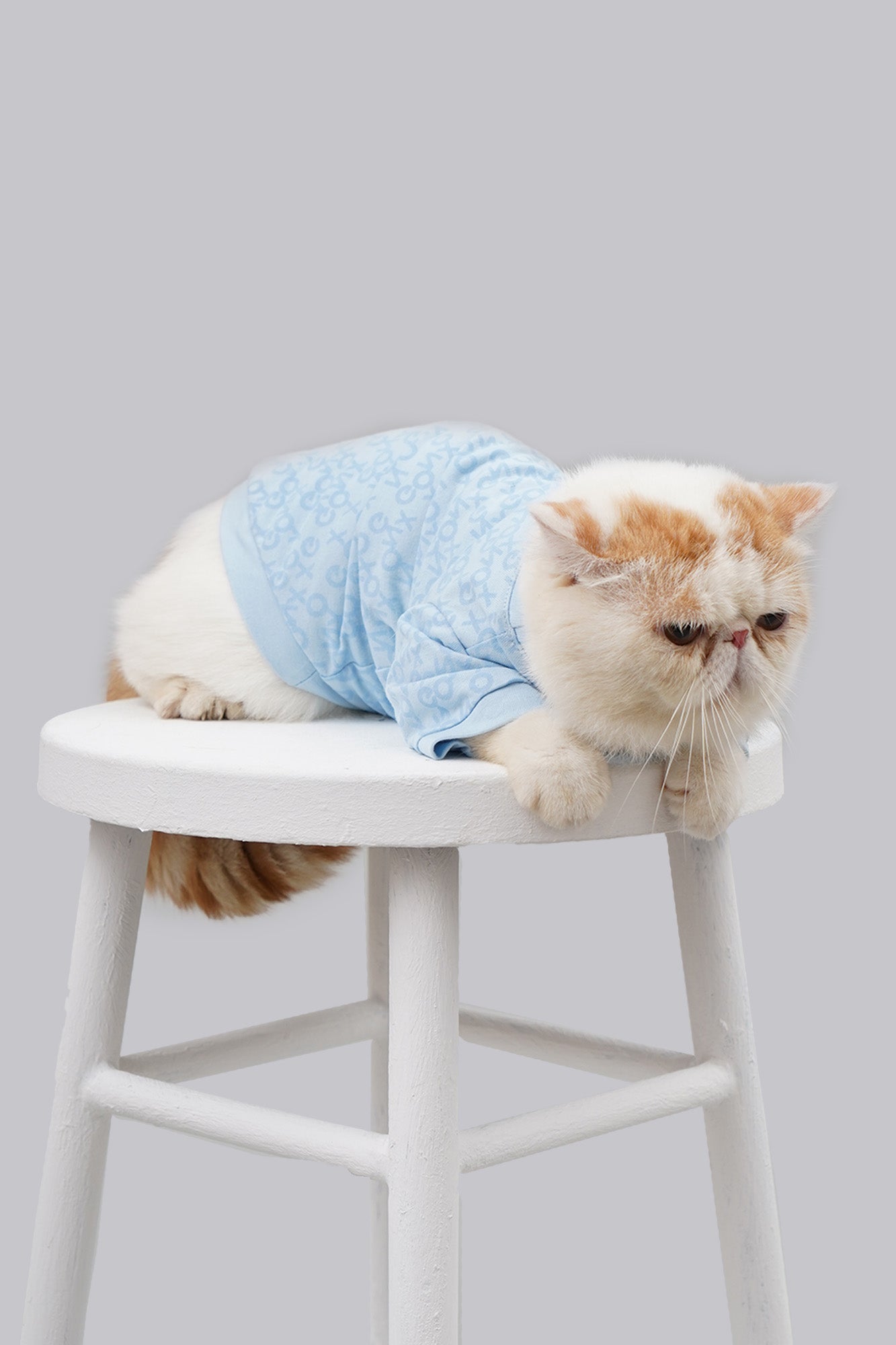 971393-Light Blue (4).jpg