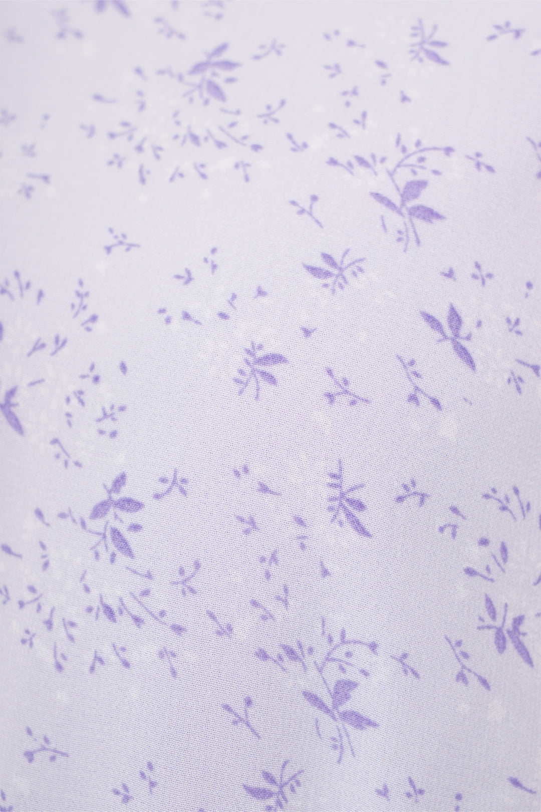 971924-Lavender (5).jpg