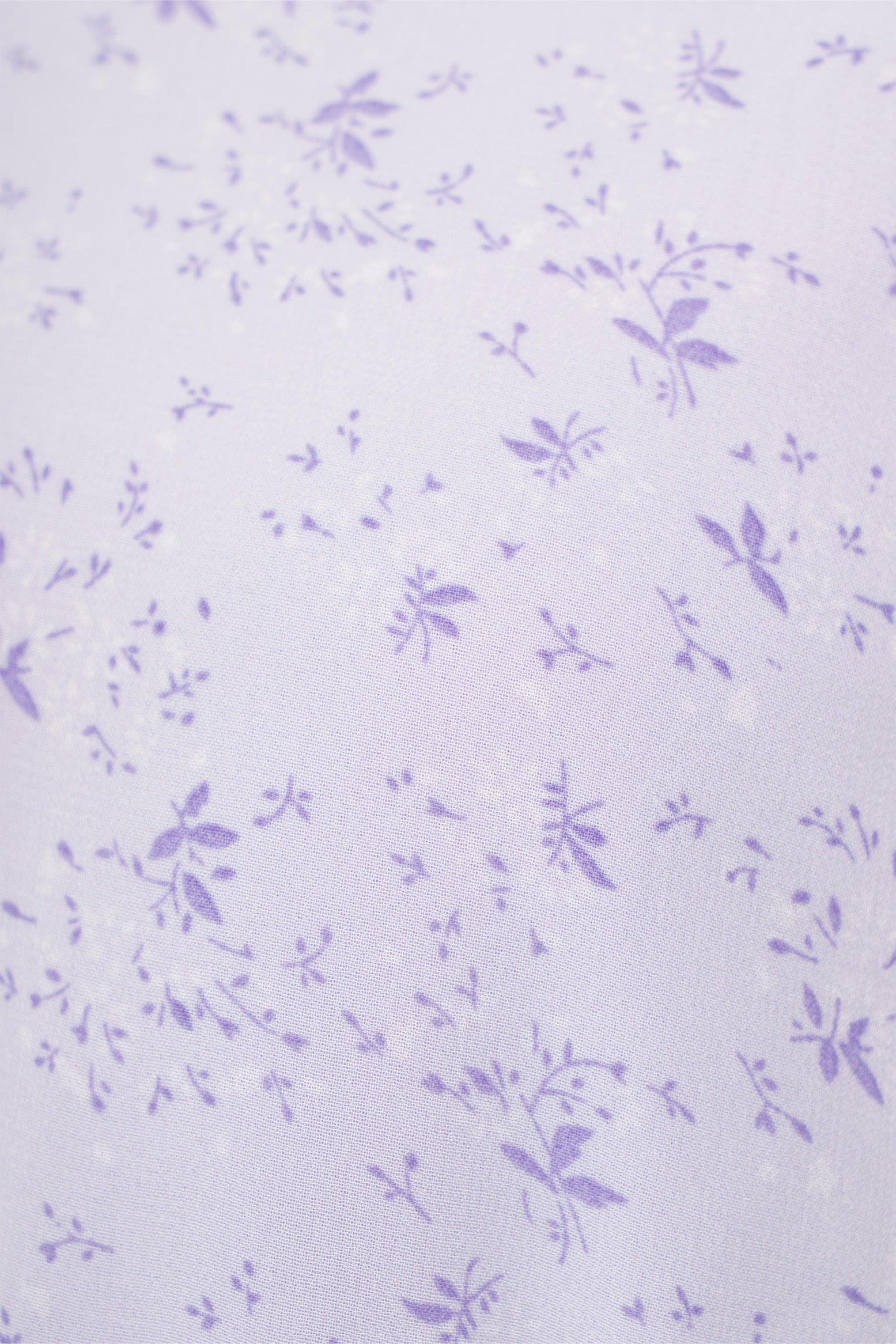 971924-Lavender (5).jpg