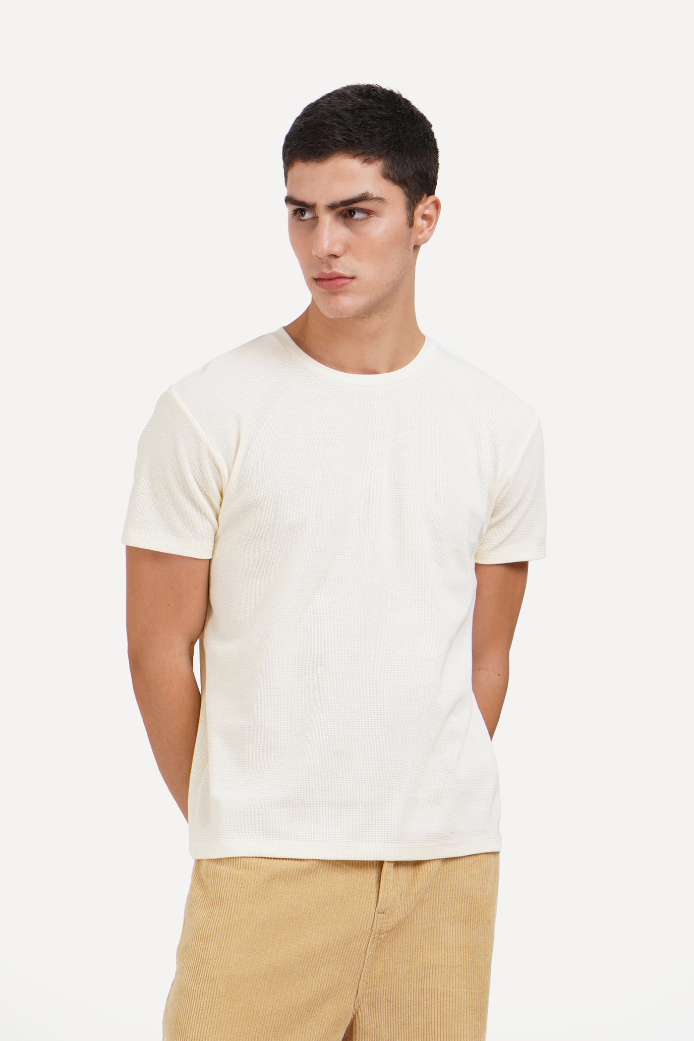 976001-Cream (2).jpg