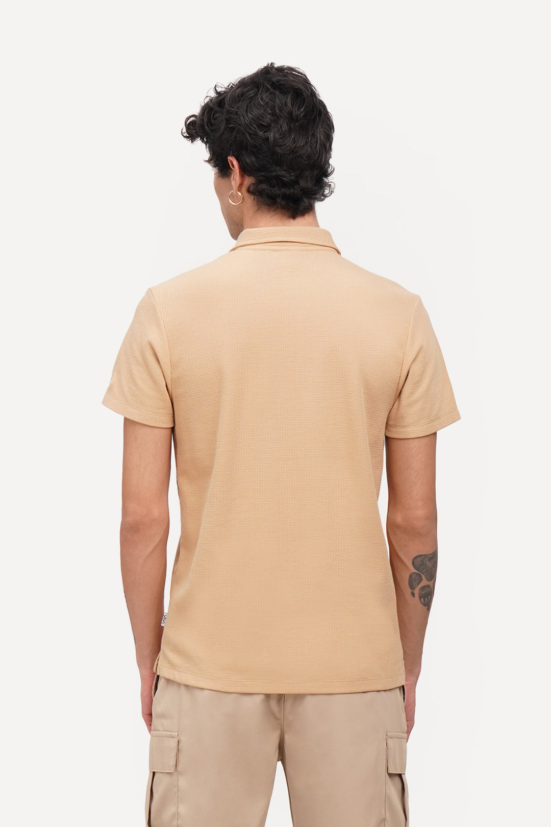 977872-Camel (1).jpg