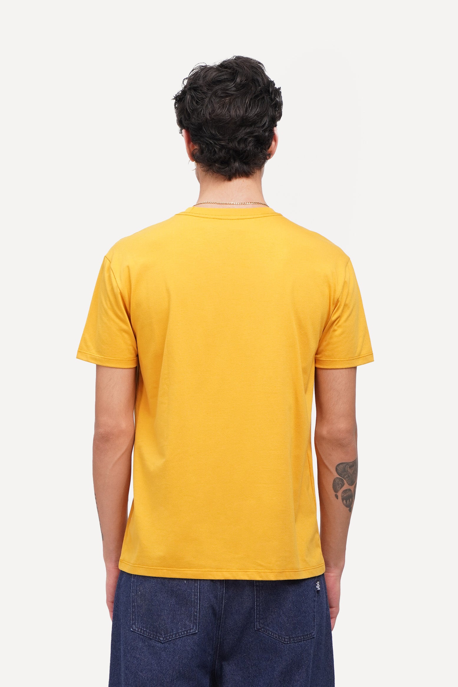 978203-Mustard (1).jpg